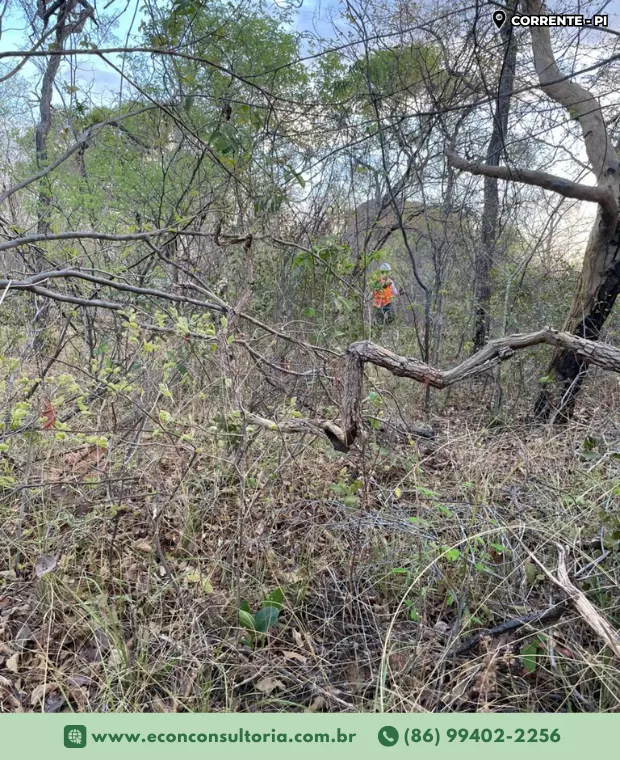 Serviço de campo em Corrente – PI garante dados essenciais para o licenciamento ambiental do empreendimento